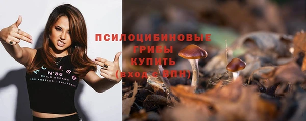 MESCALINE Надым
